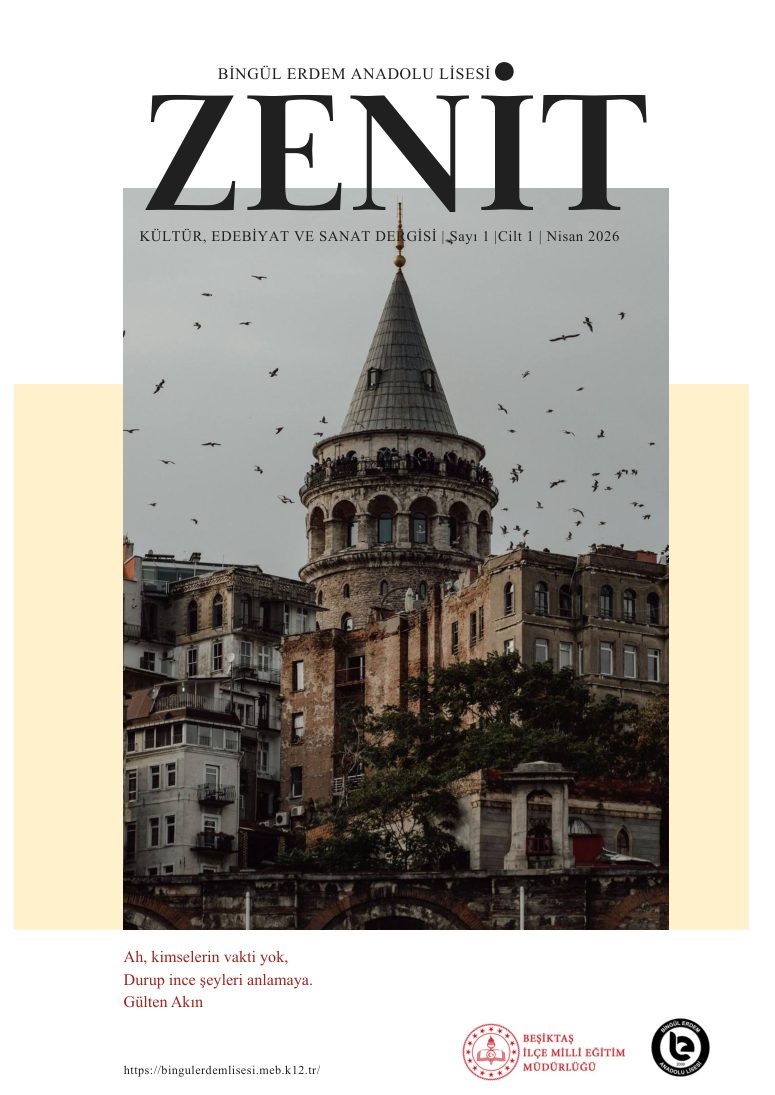 ZENİT Dergi Kapağı — İstanbul